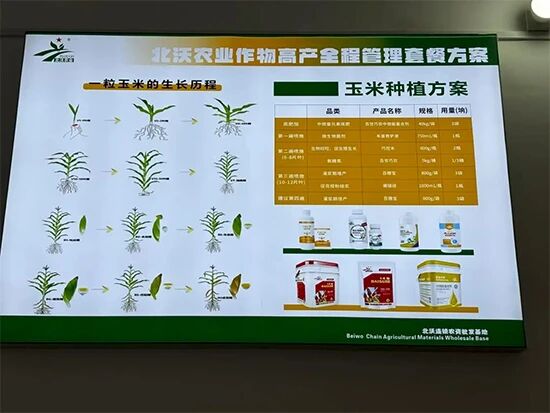 寰俊鍥剧墖_2026-10-29_081047_879.jpg 寰俊鍥剧墖_2026-10-29_081047_879.jpg